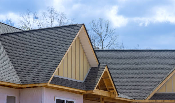 Best Roof Moss and Algae Removal  in Washington, DC
