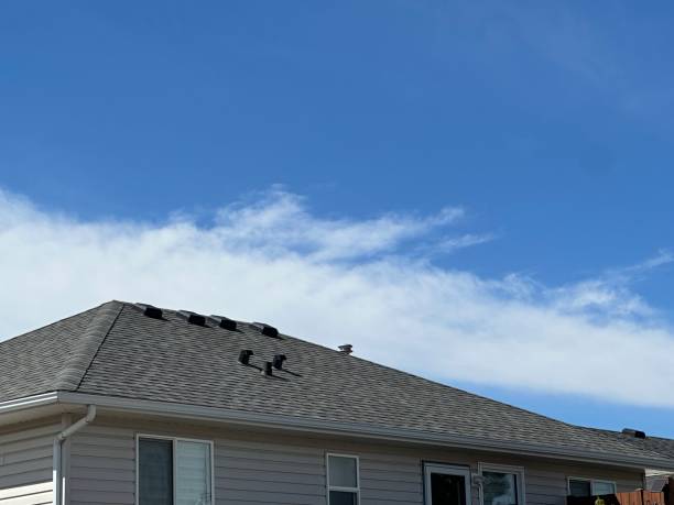 Best 4 Ply Roofing  in Washington, DC